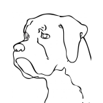 Dibujo para colorear Colorear perro boxer