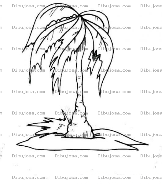 Dibujo para colorear Dibujo De Una Palmera Flaca Para Pintar Y Colorear