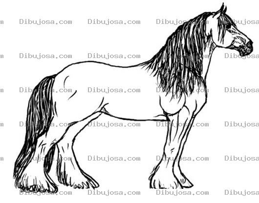 Dibujo para colorear caballo de pelo largo para colorear