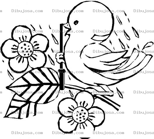 Dibujo para colorear Dibujo De Pajaritos Con Flores Bajo La Lluvia Para Pintar Y Colorear