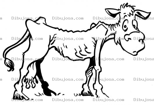 Dibujo para colorear Vacasflacas Dibujo De Vaca Flaca Delgada Y Raquitica Para Pintar Y Colorear Vaquita Hambrienta Y Desnutrida