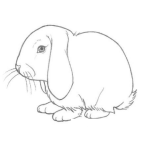 Dibujo para colorear Dibujo De Conejo Triste Con Las Orejas Caidas Para Pintar Y Colorear