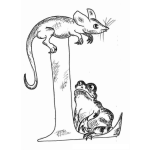 Dibujo para colorear Dibujo Del Raton Y El Sapo Para Pintar Y Colorear