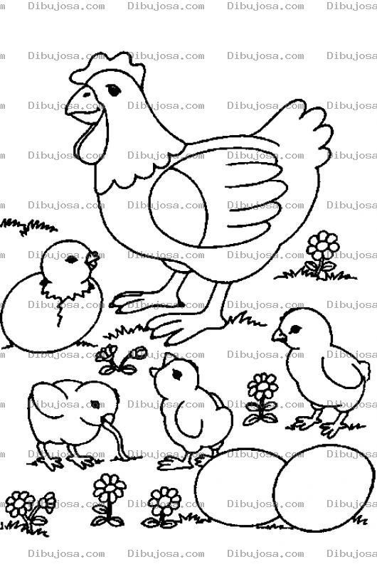 Dibujo para colorear Dbiujo De Gallina Con Sus Pollitos Reventando Del Cascaron Para Pintar Y Colorear