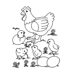 Dibujo para colorear Dbiujo De Gallina Con Sus Pollitos Reventando Del Cascaron Para Pintar Y Colorear