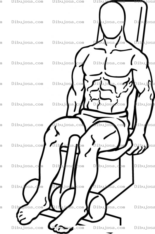 Dibujo para colorear Dibujo De Hombre Haciendo Ejercicios De Pierna En Una Maquina Para Piernas Para Pintar Y Colorear Atletico Y Musculoso Ejercitando Las Piernas