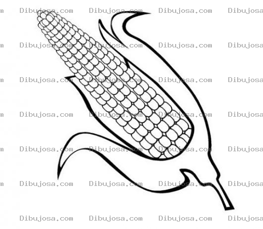 Dibujo para colorear Dibujo De Mazorca De Maiz Para Pintar Y Colorear