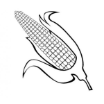 Dibujo para colorear Dibujo De Mazorca De Maiz Para Pintar Y Colorear