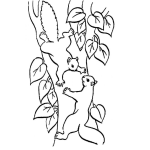 Dibujo para colorear Dibujo De Dos Ardillas En Un Arbol Para Pintar Y Colorear
