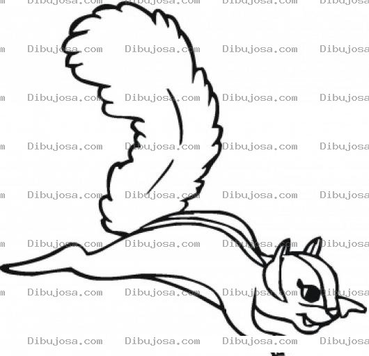 Dibujo para colorear Dibujo De Ardilla Voladora Para Pintar Y Colorear