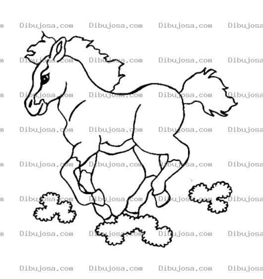 Dibujo para colorear Dibujo De Caballo Corriendo En Las Nubes Para Pintar Y Colorear