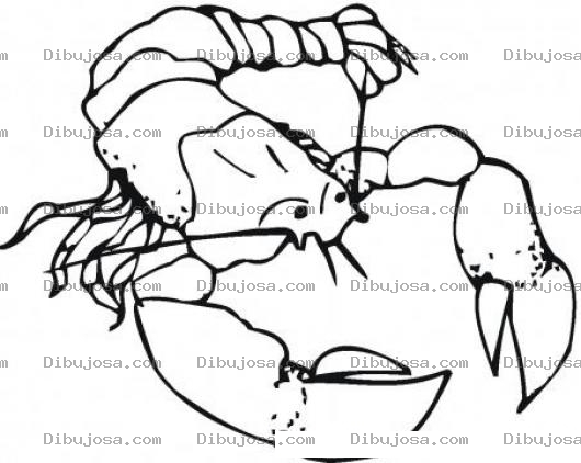 Dibujo para colorear Dibujo De Langosta Con Tenazas Para Pintar Y Colorear