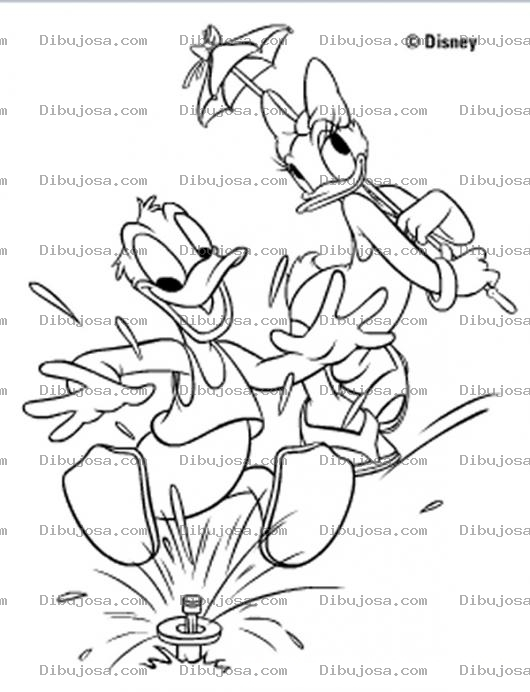 Dibujo para colorear El pato donald y la pata daisy