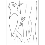 Dibujo para colorear Colorear un pajaro carpintero