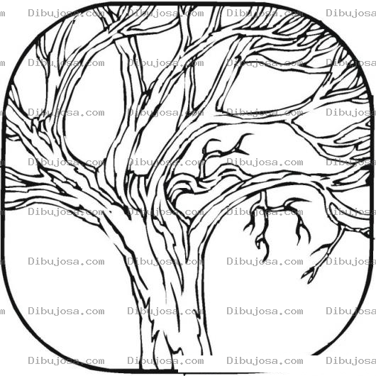 Dibujo para colorear Colorear Arbol sin hojas