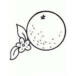 Dibujo para colorear Colorear Guayaba