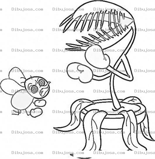 Dibujo para colorear Planta Carnovora Dibujo De Mosca Con Flor Carnivora Para Pintar Y Colorear Mosca Con Guantes De Box