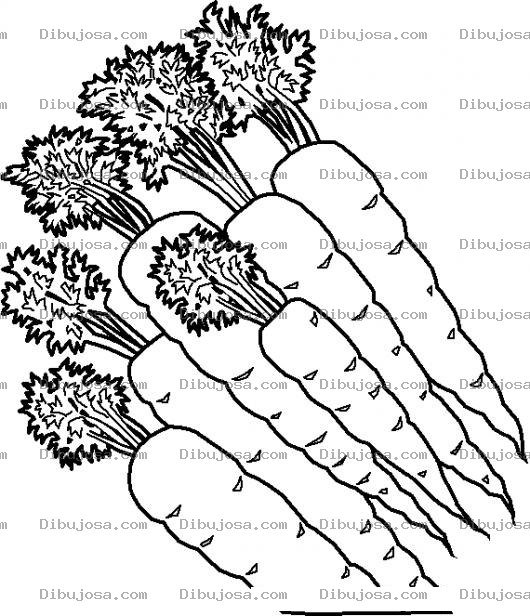 Dibujo para colorear 6 Zanahorias Dibujo De Media Docena De Zanahorias Para Pintar Y Colorear 6zanahorias