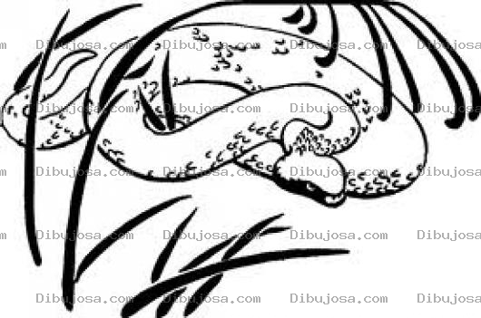 Dibujo para colorear Dibujo De Serpiente En El Monte Para Colorear