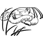 Dibujo para colorear Dibujo De Serpiente En El Monte Para Colorear