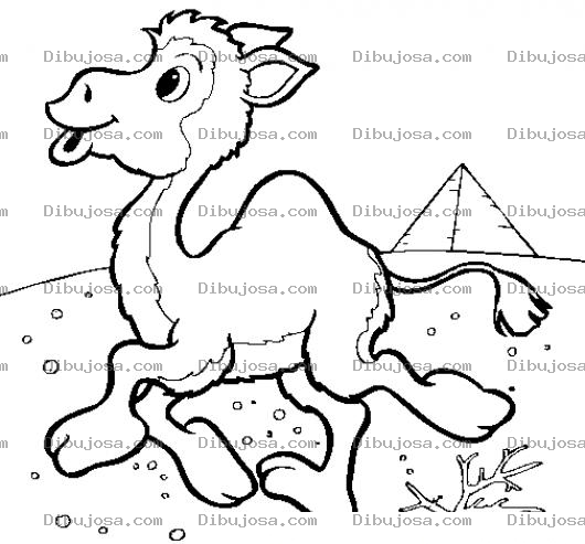 Dibujo para colorear Camellito En Desierto De Egipto Caminando Frente A Una Piramide Para Pintar Y Colorear