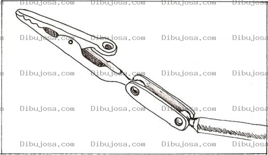 Dibujo para colorear Dibujo De Un Lagarto Para Soldar Con Estano