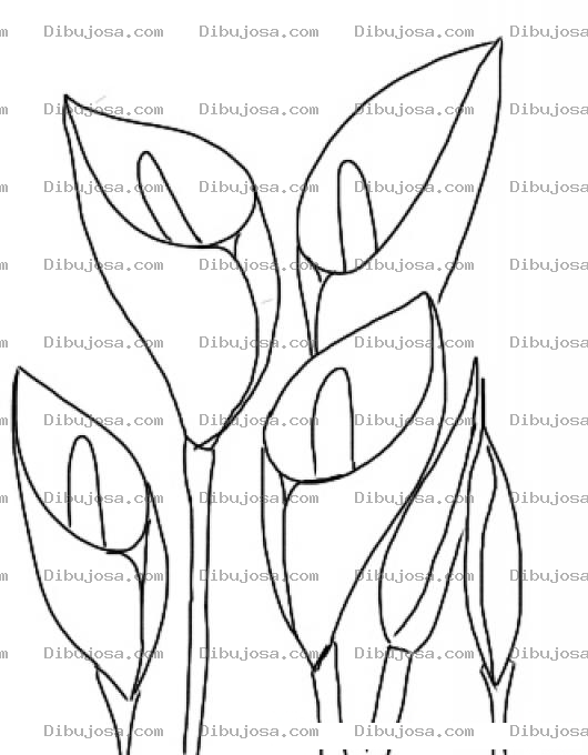 Dibujo para colorear Ramo De Flores Cartuchos Blancos Para El Dia De Las Madres Para Pintar Y Colorear