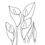 Dibujo para colorear Ramo De Flores Cartuchos Blancos Para El Dia De Las Madres Para Pintar Y Colorear