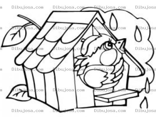 Dibujo para colorear Casita De Pajaro Para Colorear