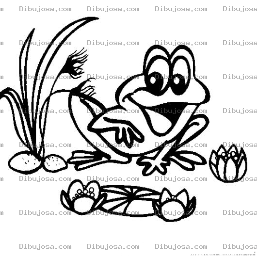 Dibujo para colorear Rana Feliz Para Pintar Y Colorear Dibujo De Rana Contenta