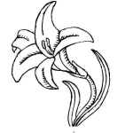 Dibujo para colorear Colorear Clavel