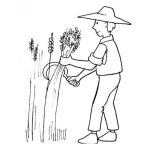 Dibujo para colorear Dibujo De Agricultor Cosechando Trigo Para Pintar Y Colorear