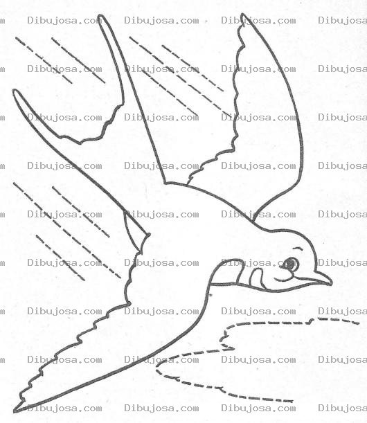 Dibujo para colorear Colorear Golondrina