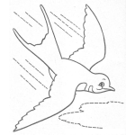 Dibujo para colorear Colorear Golondrina