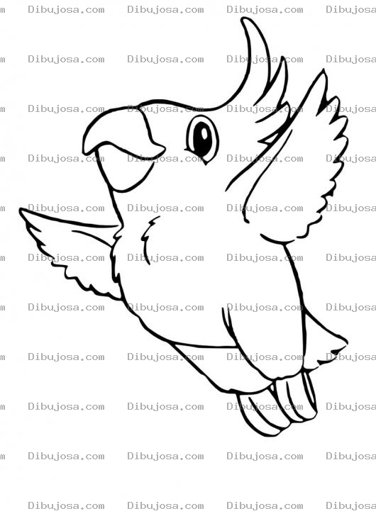 Dibujo para colorear Colorear Periquito