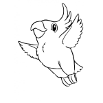 Dibujo para colorear Colorear Periquito