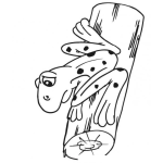 Dibujo para colorear Colorear Rana Sobre Tronco De Madera