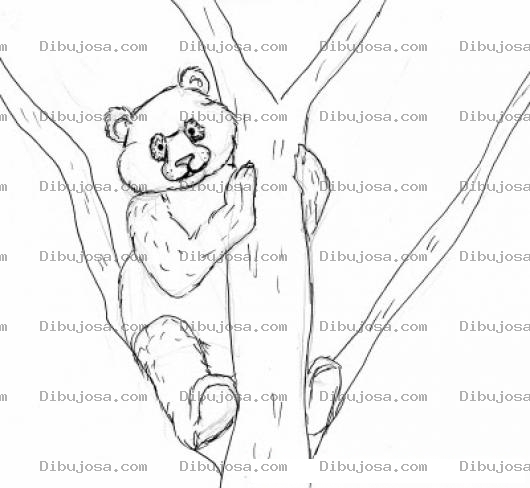 Dibujo para colorear Colorear Osito Trepado En Arbol
