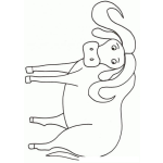 Dibujo para colorear Colorear Bufalo