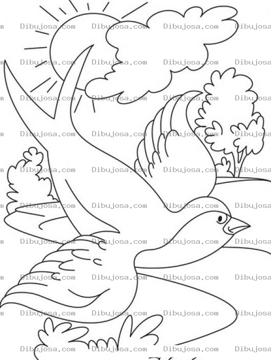 Dibujo para colorear Clorear Golondrinita