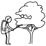 Dibujo para colorear Colorear Hombre Fumigando Un Arbol