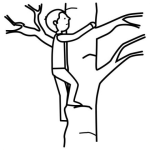 Dibujo para colorear Colorear Chico Trepando Un Arbol