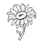 Dibujo para colorear Dibujo De Un Girasol Para Colorear Y Pintar
