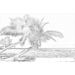 Dibujo para colorear Bahamas Coloring Page