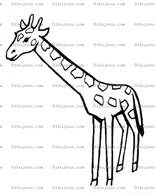 Dibujo para colorear Clorear Jirafa De Cuello Largo