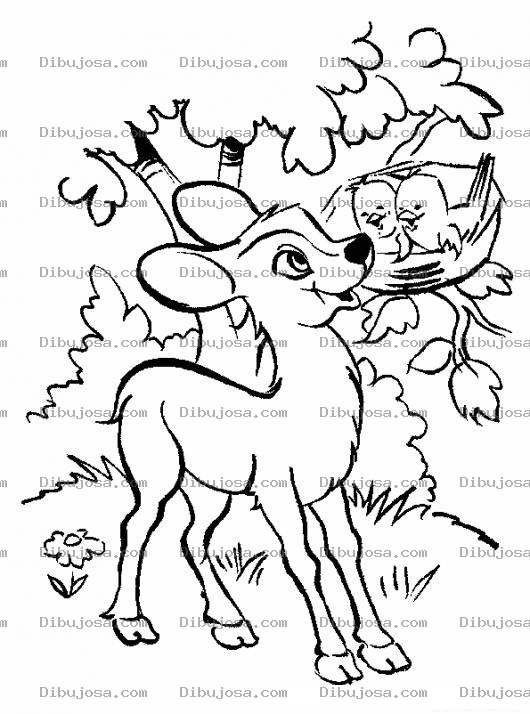 Dibujo para colorear Colorear Venadito Con Pajaritos