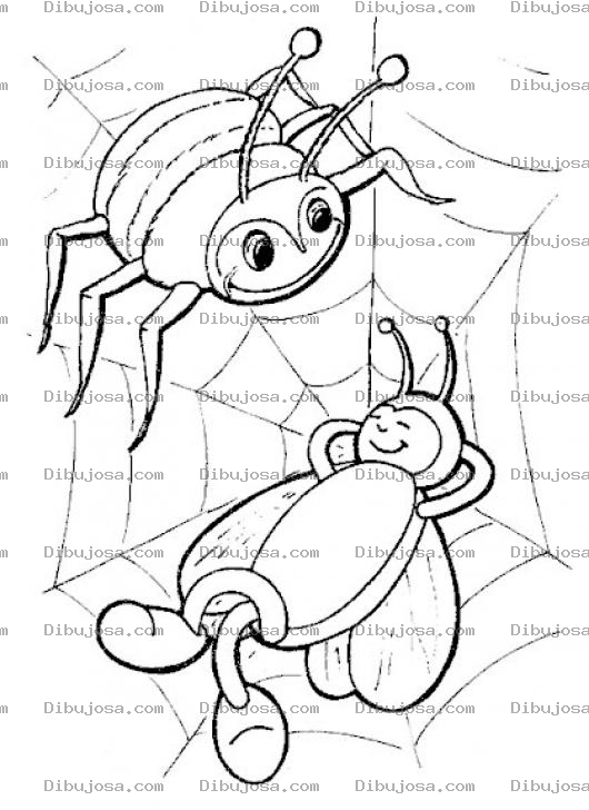 Dibujo para colorear Dibujos De Insectos Para Preescolar
