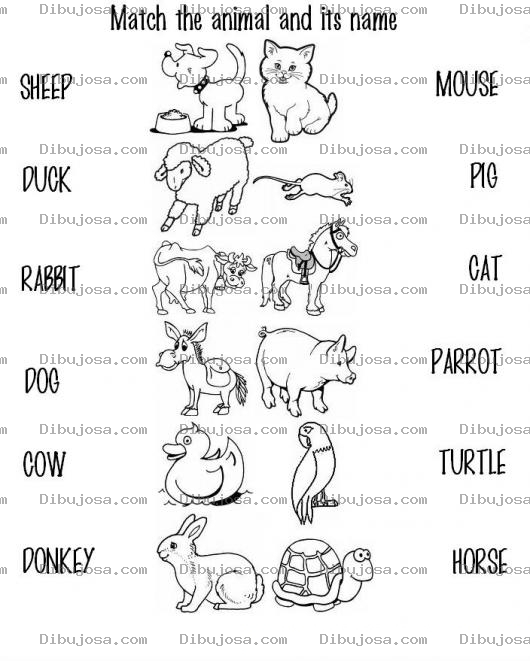 Dibujo para colorear Animales En Ingles Para Colorear Traza Una Linea Con La Traduccion Que Corresponde A Cada Animal