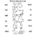 Dibujo para colorear Animales En Ingles Para Colorear Traza Una Linea Con La Traduccion Que Corresponde A Cada Animal