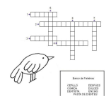 Dibujo para colorear Crucigrama Con Banco De Palabras Para Imprimir